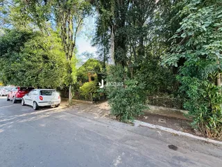 Vista da rua com árvores e veículos estacionados.