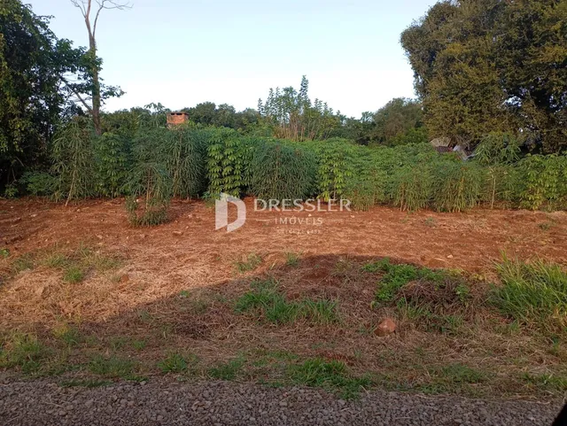 Terreno, foto 2