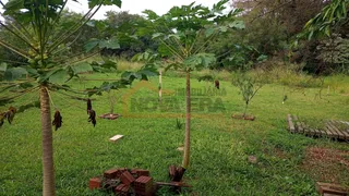 Terreno, foto 4
