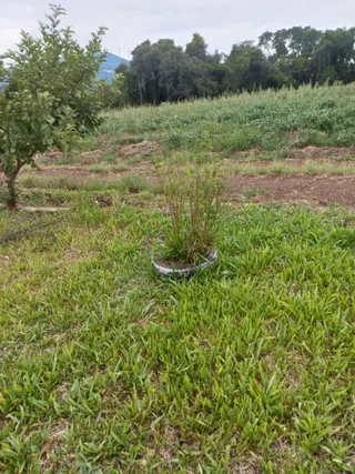 Terreno, foto 3