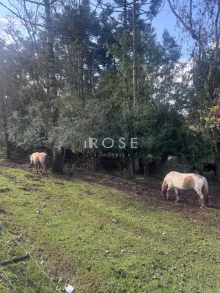 Área rural, foto 7