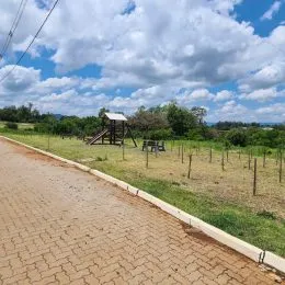 Vista de uma estrada pavimentada com vegetação ao fundo.