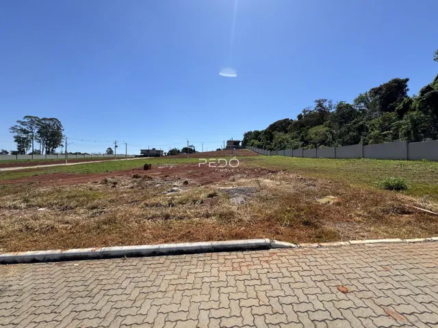 Terreno, foto 2