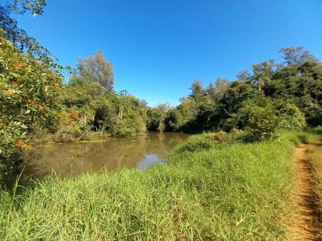 Área rural com 1 dormitório, foto 1