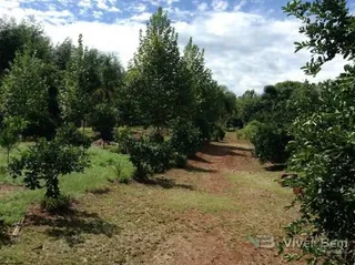 Área rural com 2 dormitórios, foto 11