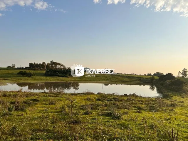 Paisagem de campo com um lago e vegetação ao fundo.
