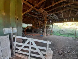 Área rural com 4 dormitórios, foto 19