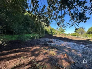 Paisagem de campo com vegetação densa e terra molhada.