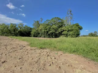 Vista aérea de uma área de campo com vegetação e árvores em Lajeado.