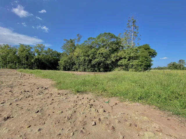 Vista aérea de uma área de campo com vegetação e árvores em Lajeado.