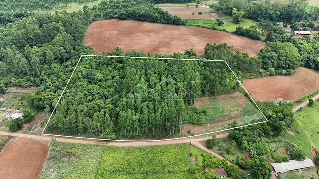 Vista aérea de um terreno com vegetação densa e áreas de terra arada.