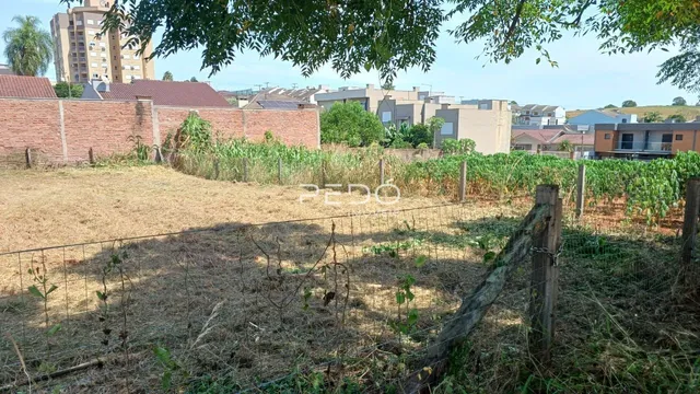 Terreno, foto 5