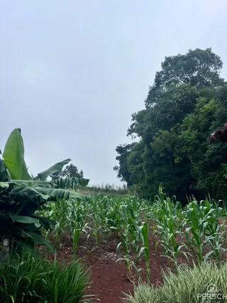 Área rural, foto 10