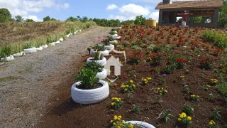 Área rural com 4 dormitórios, foto 18