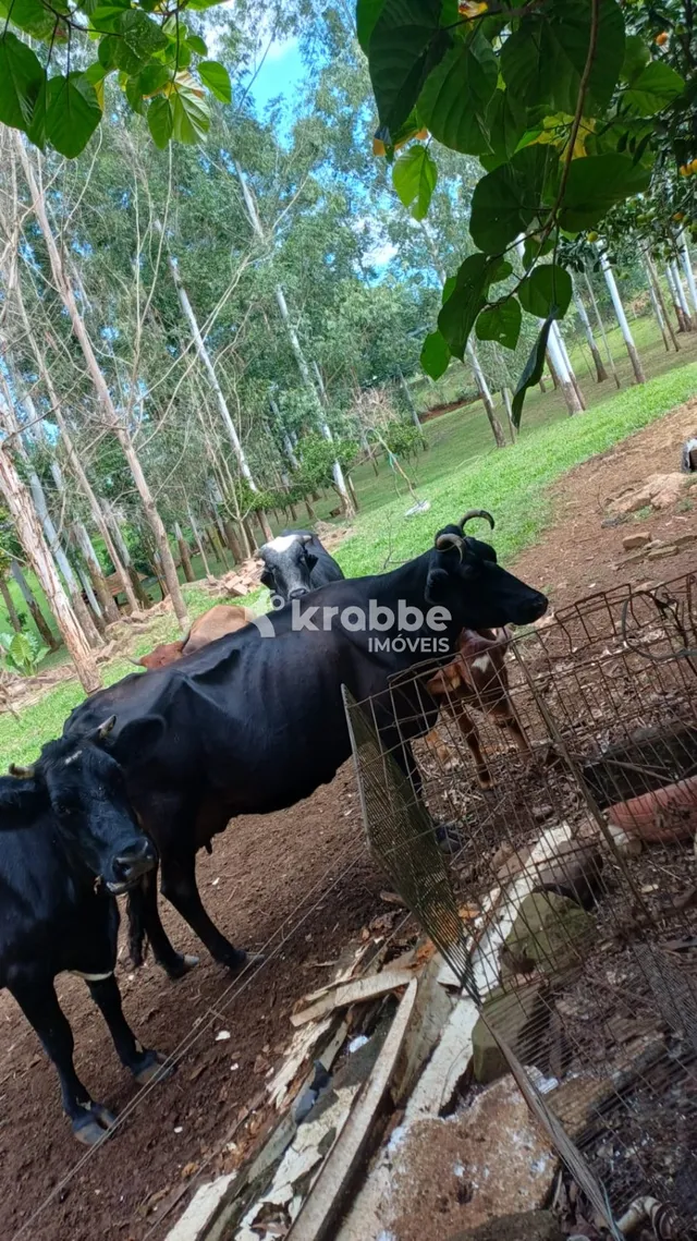 Área rural, foto 4