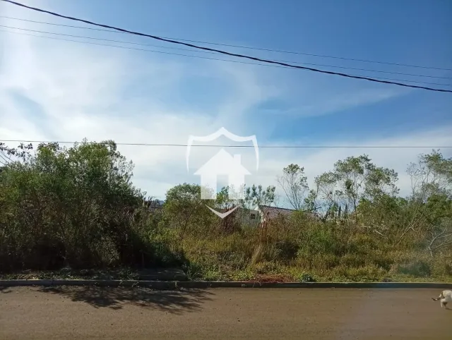 Terreno, foto 2