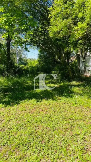 Terreno, foto 9
