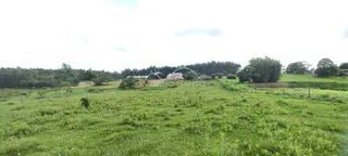 Área rural, foto 6