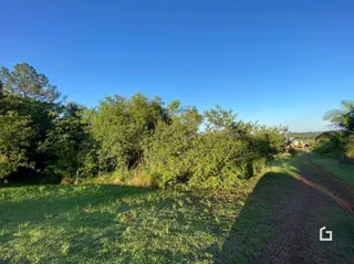 Terreno, foto 3