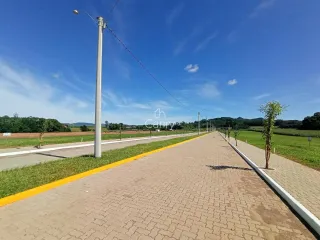Terreno, foto 3