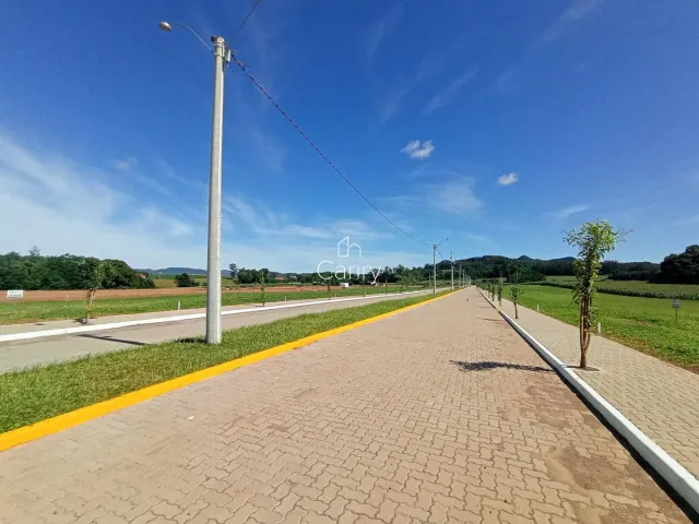 Terreno, foto 3