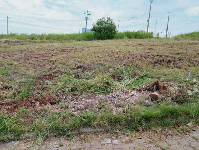 Terreno, foto 2
