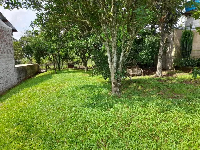 Terreno, foto 3