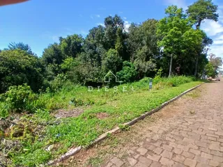 Vista da propriedade com vegetação densa e caminho de terra.