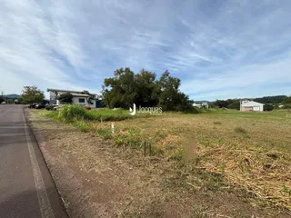 Vista de uma área de terreno com vegetação seca ao lado de uma estrada.