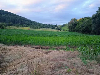Área rural, foto 4