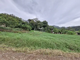 Terreno, foto 3