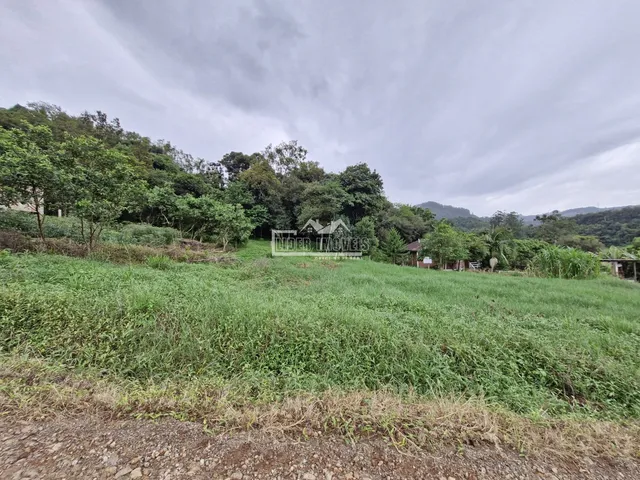 Terreno, foto 3