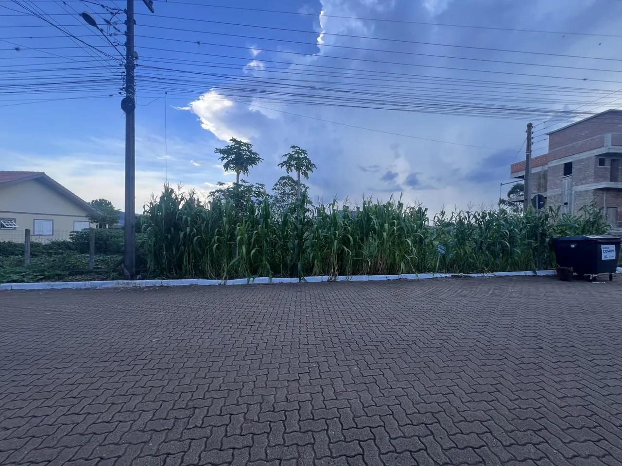 Terreno, foto 1