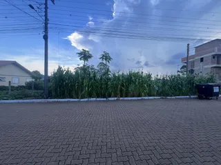 Terreno, foto 1