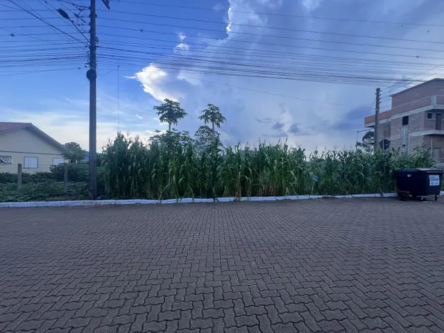 Terreno