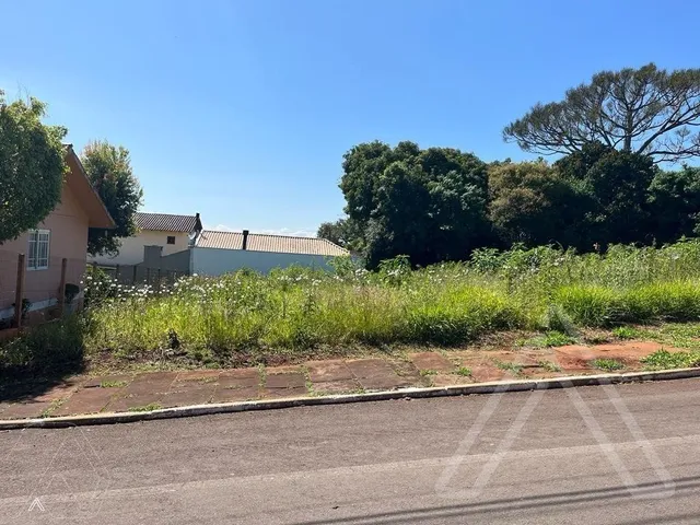 Terreno
