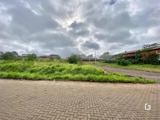 Terreno, foto 1