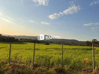 Vista de um campo verde de cultivo sob um céu claro.