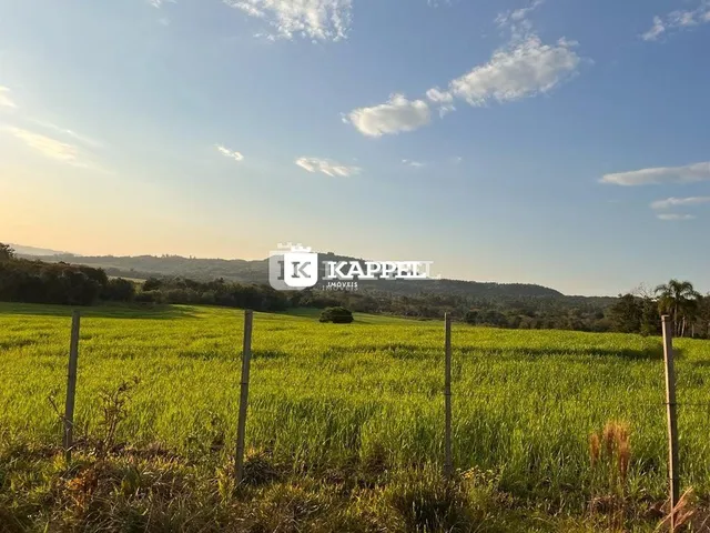 Vista de um campo verde de cultivo sob um céu claro.