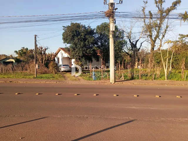 Terreno, foto 2