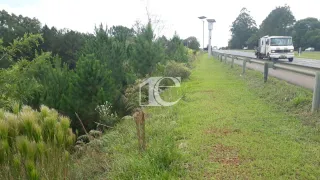 Terreno, foto 4