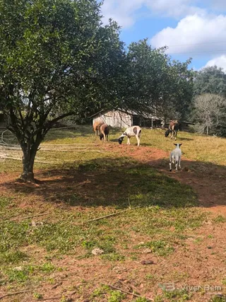 Área rural, foto 6