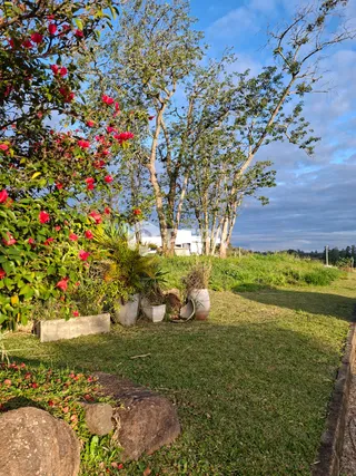 Terreno, foto 5