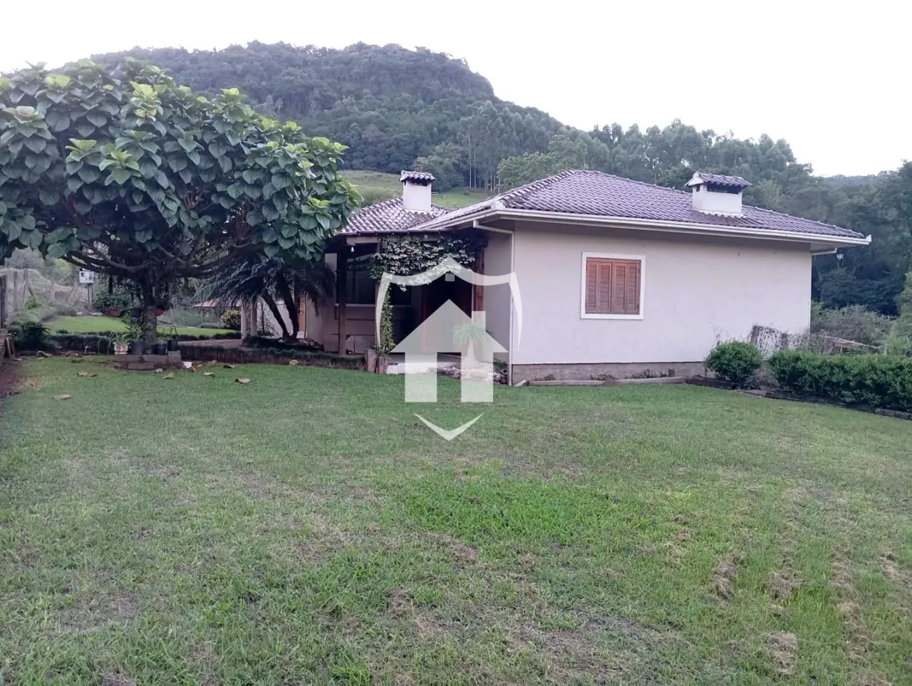 Área rural com 3 dormitórios, foto 1