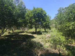 Área rural com 2 dormitórios, foto 16