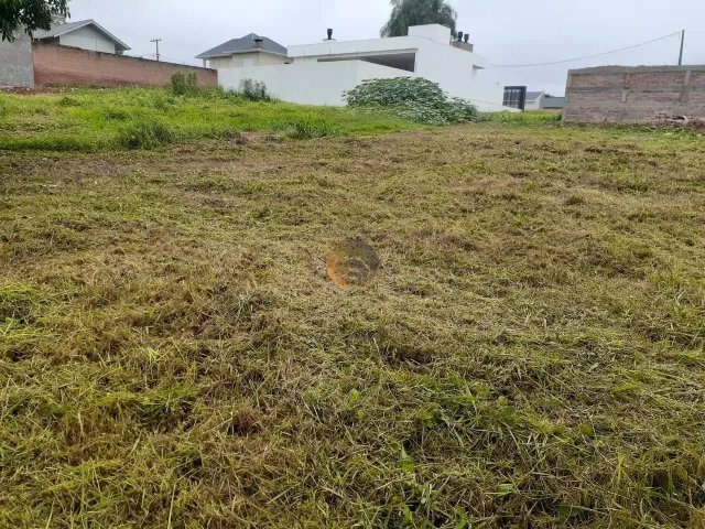Terreno, foto 3