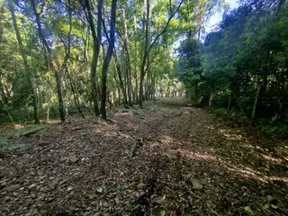 Área rural, foto 12