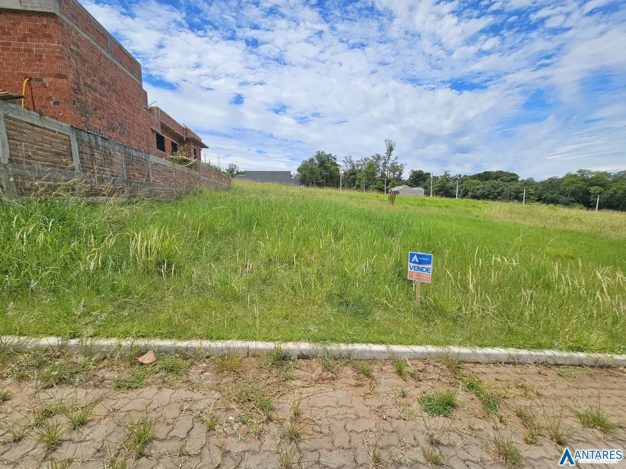 Terreno, foto 1