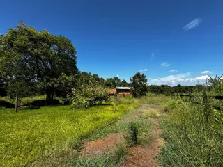 Vista de uma paisagem de campo com vegetação densa e céu azul claro.