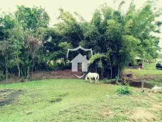 Área rural com 3 dormitórios, foto 8